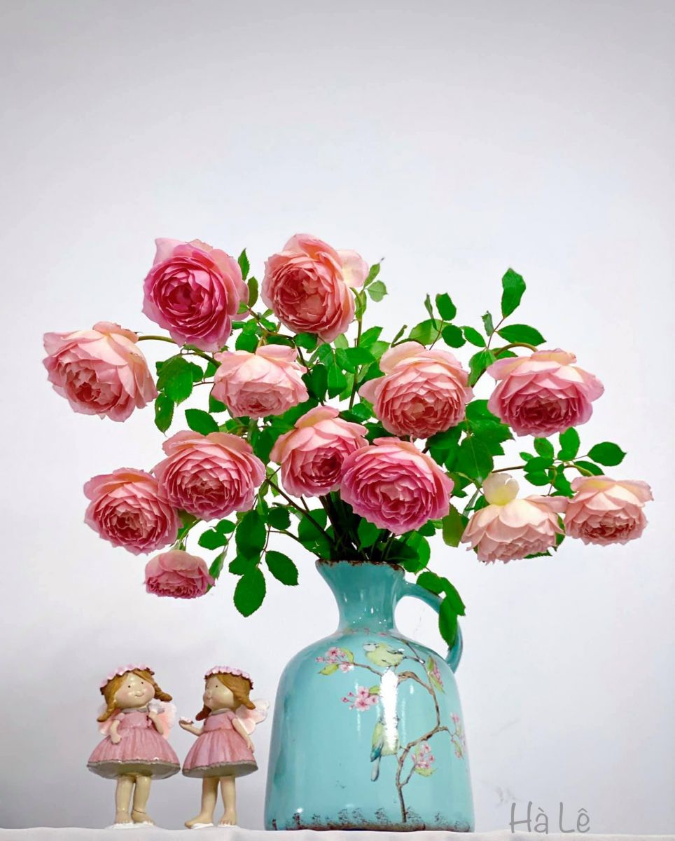 T&#x1EED; vi h&#xE0;ng ng&#xE0;y - Th&#x1EE9; S&#xE1;u 17/2/2023 c&#x1EE7;a 12 cung ho&#xE0;ng &#x111;&#x1EA1;o